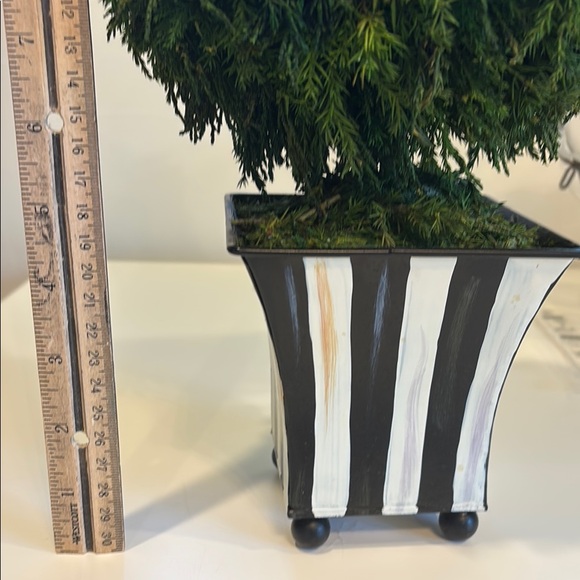 MacKenzie-Childs Green Topiary Hen with Pink and Black Accents - Picture 5 of 7